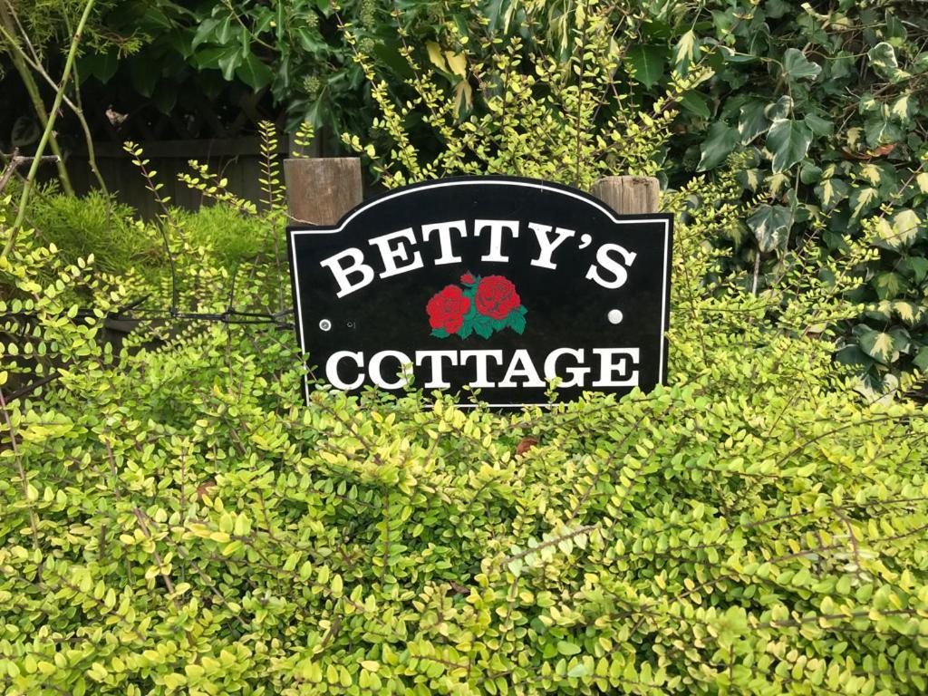 Betty'S Cottage - Traditional Norfolk Farm Cottage Swafield Eksteriør billede